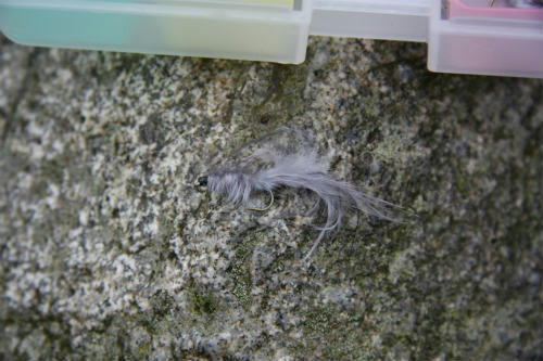 20100519_5.jpg