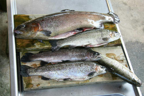 20100605_2.jpg