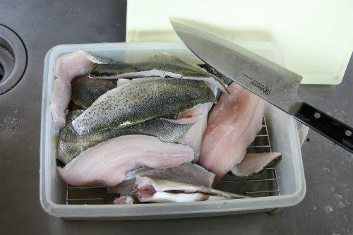 20100612.jpg
