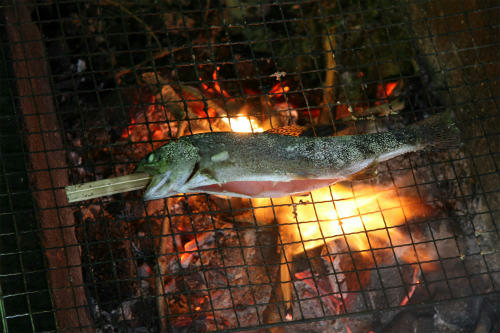 20100620_3.jpg