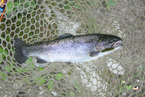 20100628_2.jpg
