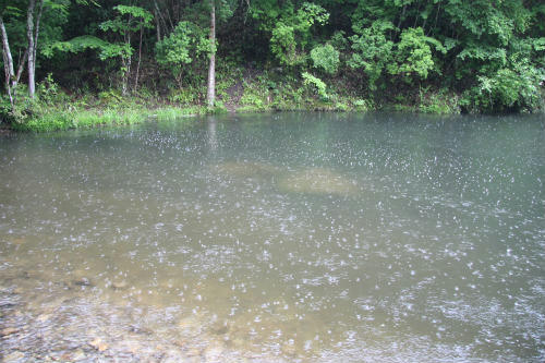 20100709_1.jpg