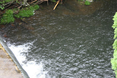 20100709_3.jpg