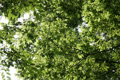 20100710_1.jpg