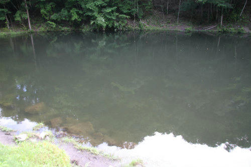 20100717_4.jpg