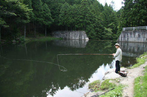 20100717_2.jpg