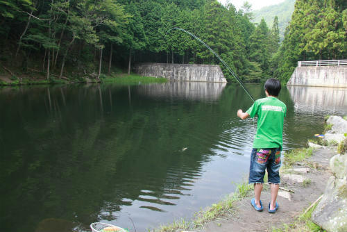 20100823_2.jpg