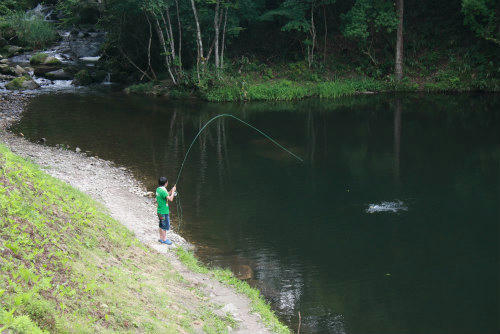 20100823_5.jpg