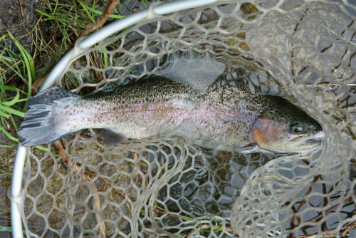 20100823_4.jpg