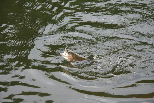 20100823_3.jpg