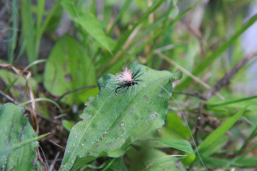 20100829_3.jpg