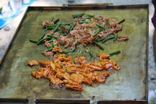 20100904_8.jpg