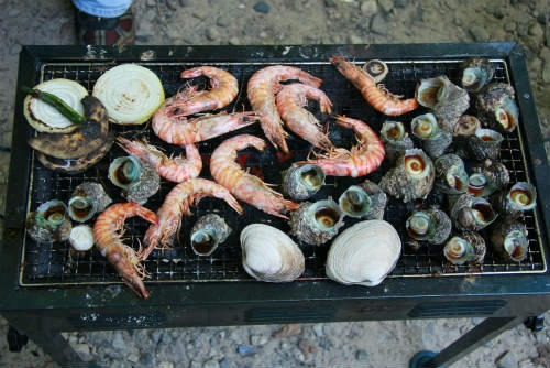 20100904_7.jpg