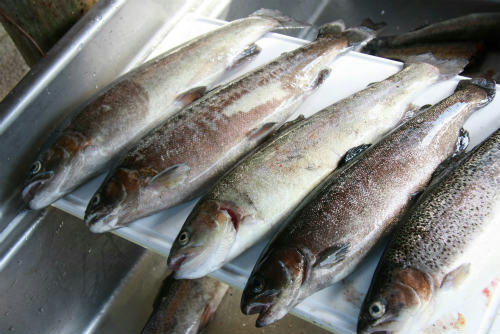 20100919.jpg