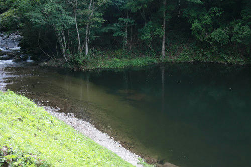 20100917_3.jpg