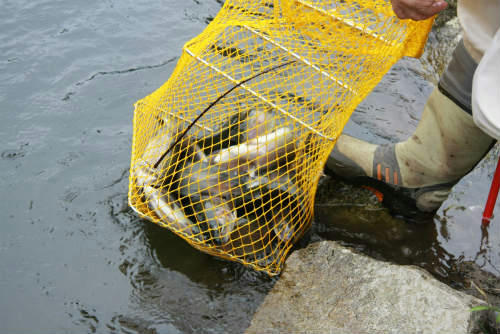 20100926_3.jpg