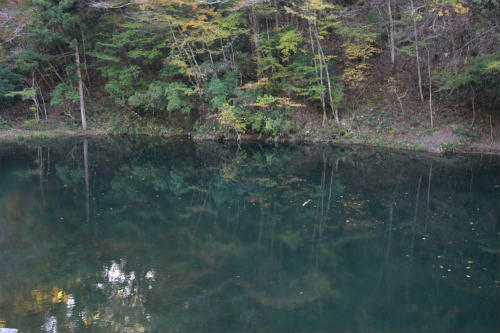 20101104.jpg