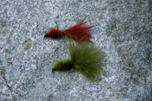 20101103_4.jpg