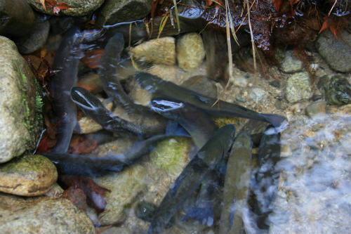 20101207_2.jpg