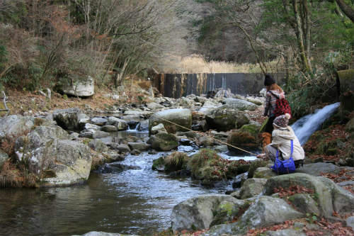 20101207_1.jpg