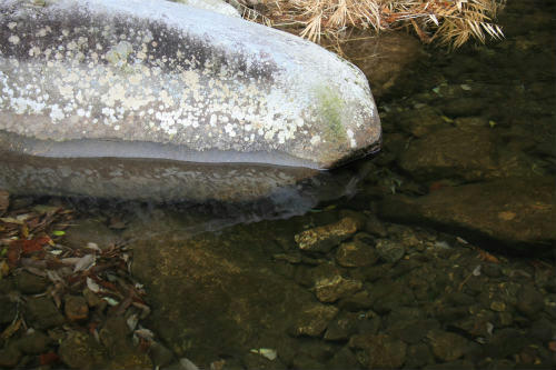 20101216_3.jpg
