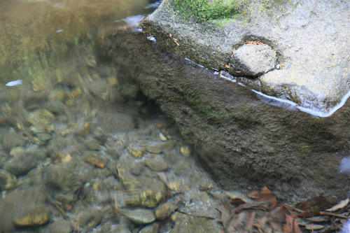 20101216_1.jpg