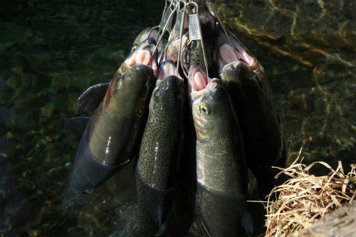 20110111_2.jpg