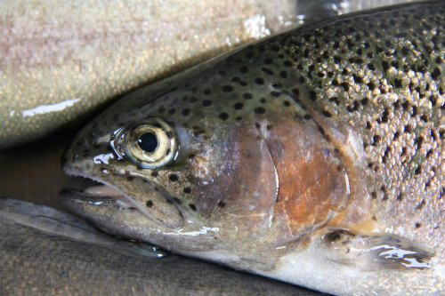 20110220_2.jpg