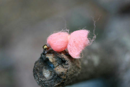 20110316_2.jpg