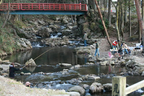 20110319.jpg