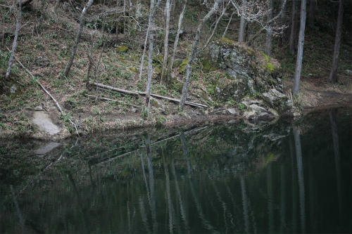 20110322_1.jpg