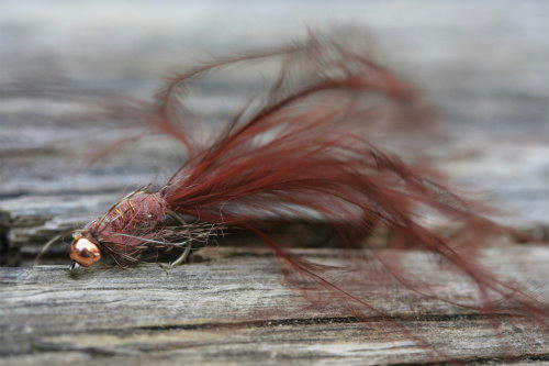 20110317.jpg
