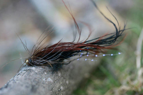 20110316_1.jpg