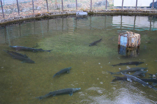 20110325.jpg
