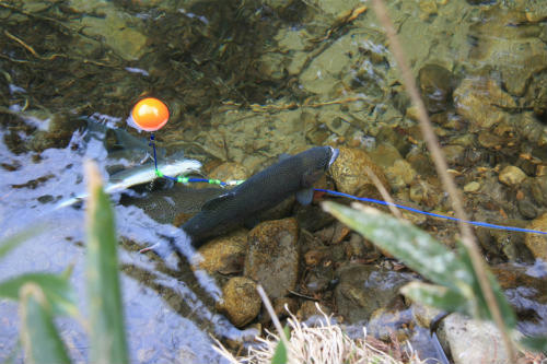 20110402_3.jpg