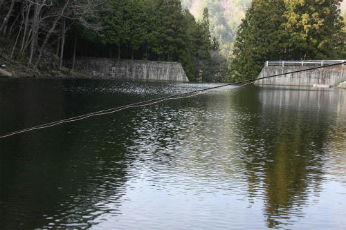 20110416_2.jpg