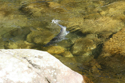 20110417_10.jpg