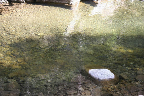 20110417_4.jpg