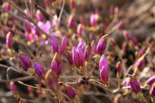 20110417_3.jpg