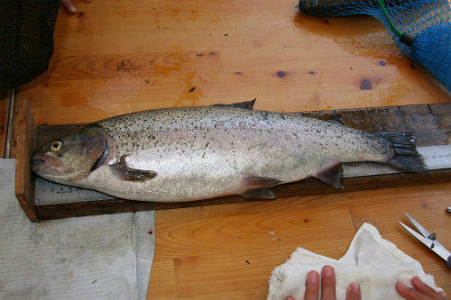 20110417_13.jpg