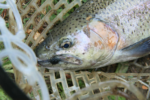 20110430_4.jpg