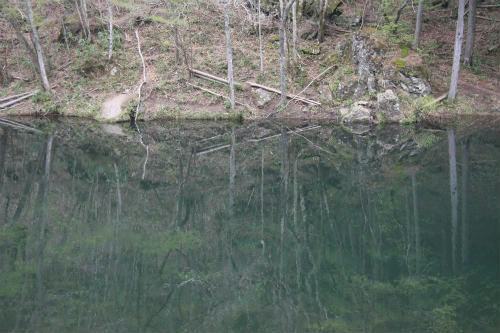 20110503_4.jpg