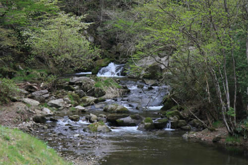 20110506_1.jpg