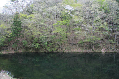 20110506_2.jpg