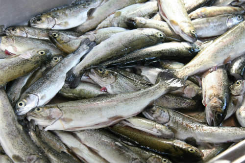 20110519.jpg