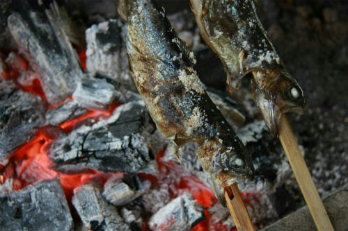 20110527.jpg