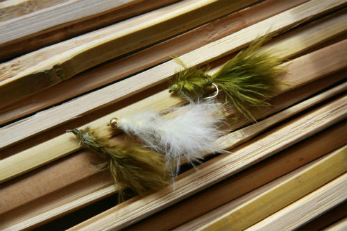 20110603_2.jpg