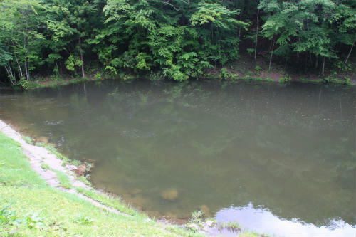 20110611_1.jpg