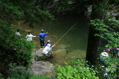 20110618_6.jpg