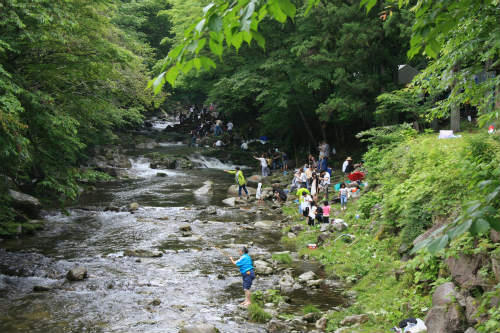 20110618_1.jpg